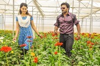 Billa Ranga Movie Photos